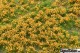 Grästuvor med blommor ORANGE delbara [wb-po242]