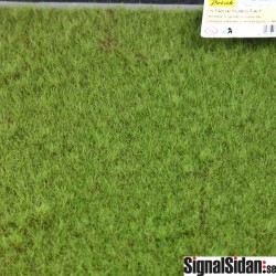 Gräs - Grovt - Medelgrönt [5964]