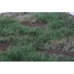 Welberg Scenary, Landskapsplatts [m024]