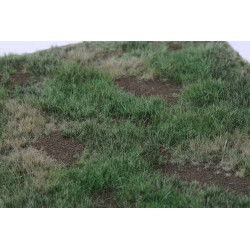 Welberg Scenary, Landskapsplatts [m024]