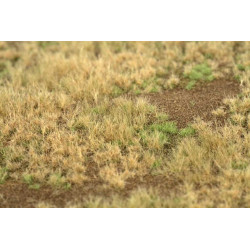 Welberg Scenary, Landskapsplatts [m009]