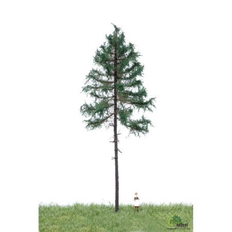Skogsgran 18-22cm [51-4301]