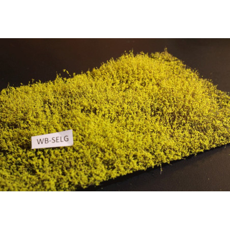 Buskar SELG Ljusgrön