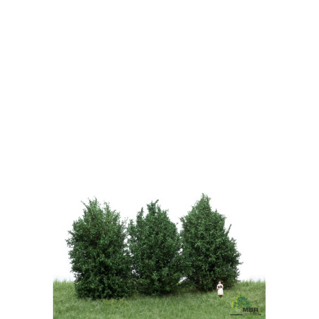 Höga Buskar 10-12cm Mörkgrön [50-4001]