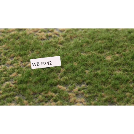 Grästuvor delbara [wb-p242]