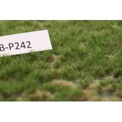 Grästuvor delbara [wb-p242]