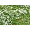 Grästuvor med blommor VIT delbara [wb-pwh242]