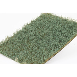 Ogräs delbart SalviaGrön Hög [wb-lws]