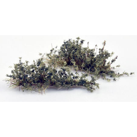 Ogräs delbart BrändGrön Låg [wb-swbg]