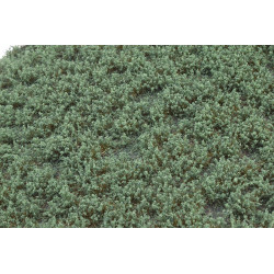 Ogräs delbart VinterGrön Låg [wb-swhg]