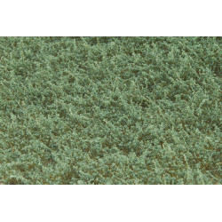 Ogräs delbart VinterGrön Hög [wb-lwhg]