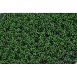 Ogräs delbart VårGrön Låg [wb-swsg]