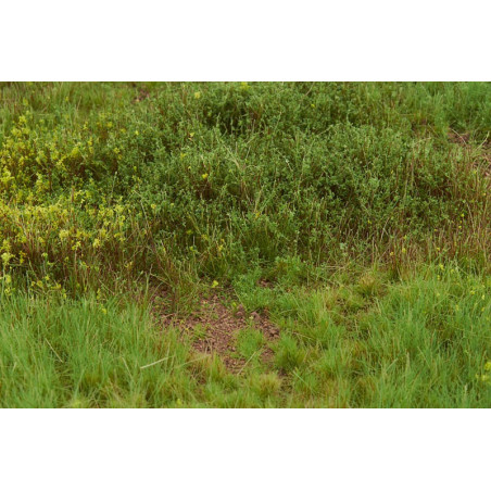 Welberg Scenary, Landskapsplatta [m051]