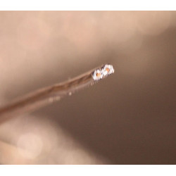 Dubbelkabel flertrådig [22-126]