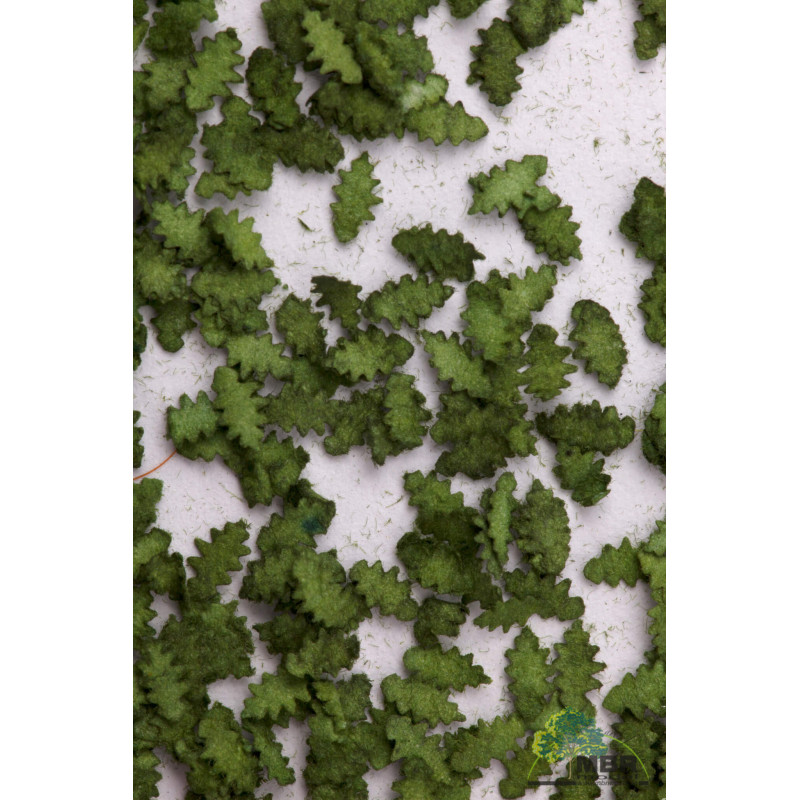 Ek-löv, mörkgrön [50-6005]