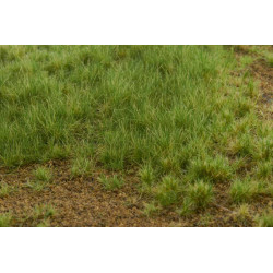 Welberg Scenary, Landskapsplatta [m005]