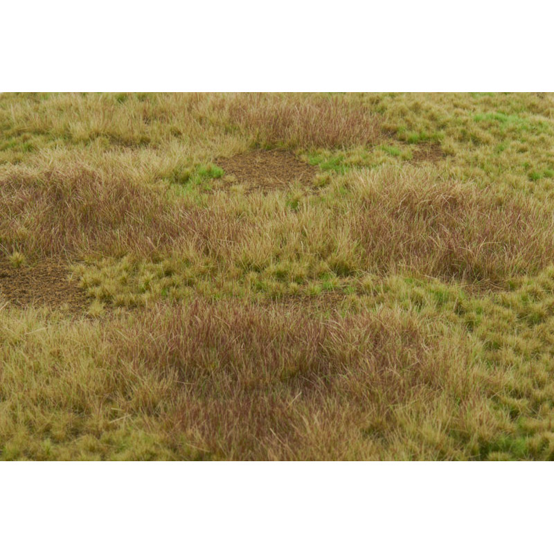 Welberg Scenary, Landskapsplatts [m031]