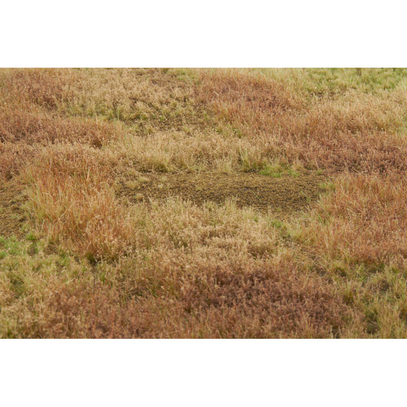 Welberg Scenary, Landskapsplatts [m034]