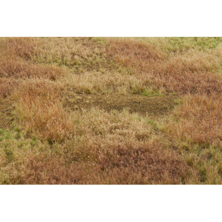 Welberg Scenary, Landskapsplatts [m034]