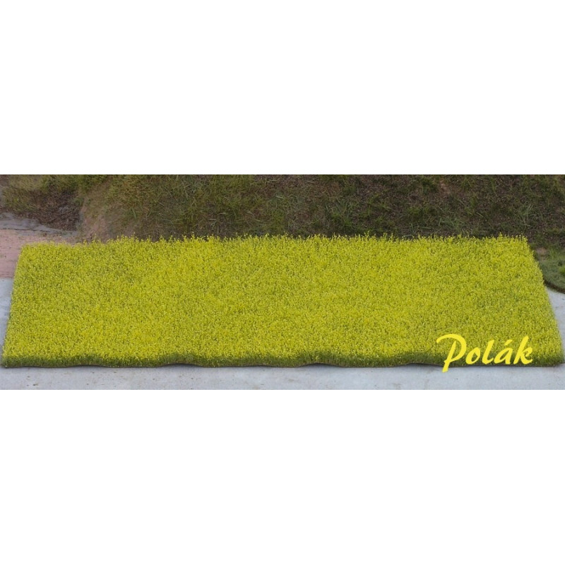 Rapsfält - Gult [5821]