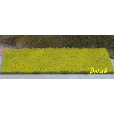 Rapsfält - Gult [5821]