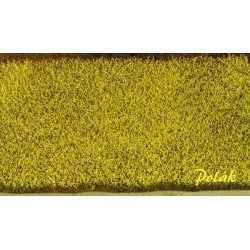 Rapsfält - Gult [5821]