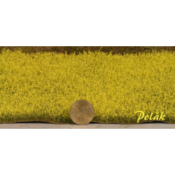 Rapsfält - Gult [5821]