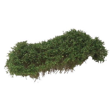 Buskage delbart Grön [50-5011]