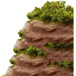 Markvegetation Lövgrön [5640]