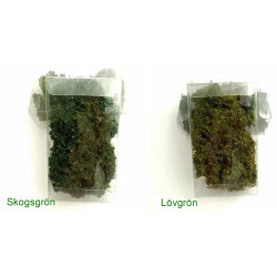 Markvegetation Lövgrön [5640]