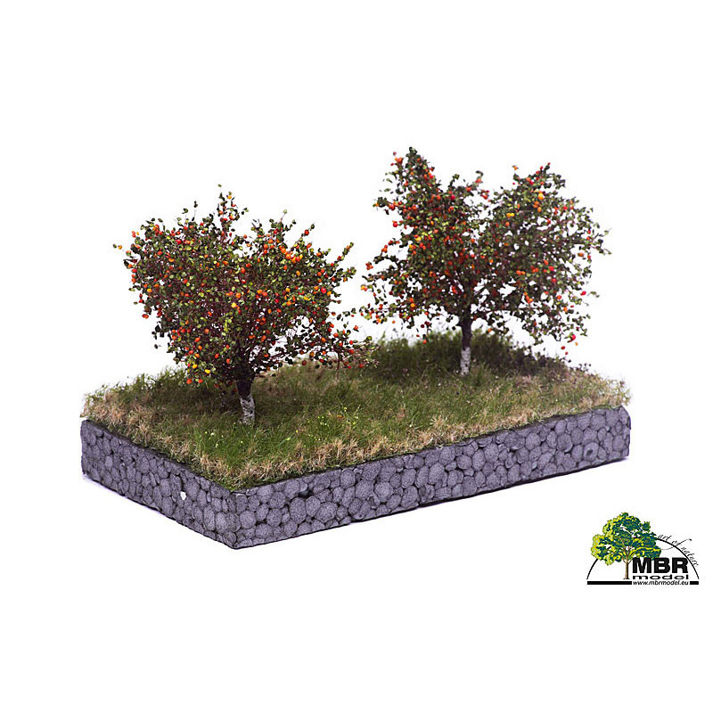 Äppelträd 6-10cm [51-2304]