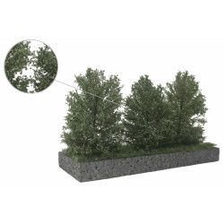 Höga Buskar 10-12cm Mörkgrön [50-4013]