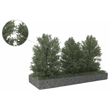 Höga Buskar 10-12cm Mörkgrön [50-4013]