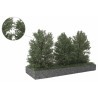 Höga Buskar 10-12cm Mörkgrön [50-4013]