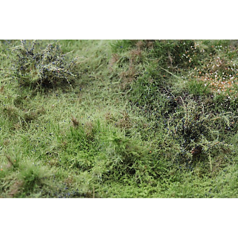 Skogsmark - Variant B [9812]