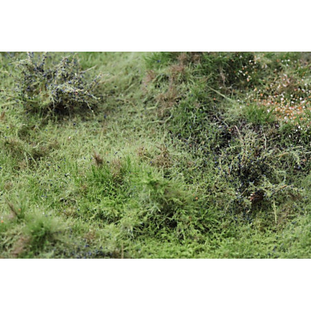 Skogsmark - Variant B [9812]