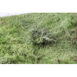 Skogsmark - Variant B [9812]