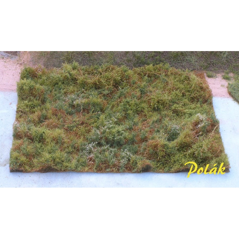 Skogsmark - Variant A [9811]