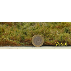 Skogsmark - Variant A [9811]