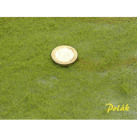 STATDEKOR - Fin - Lärkgrön