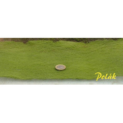 STATDEKOR - Fin - Lärkgrön