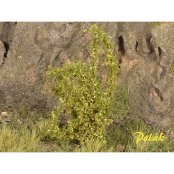 Buskar - Medelstora blad - Grön [9222]