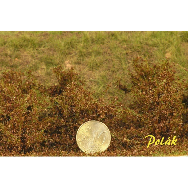 Buskar - Medelstora blad - Höstbrun [9274]