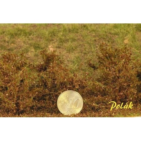 Buskar - Medelstora blad - Höstbrun [9274]