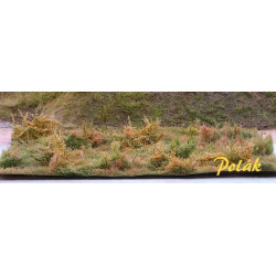Skogsmark - Variant D [9814]