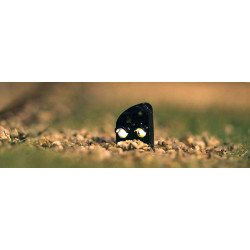 Växlingsdvärg, byggsats [10-220]