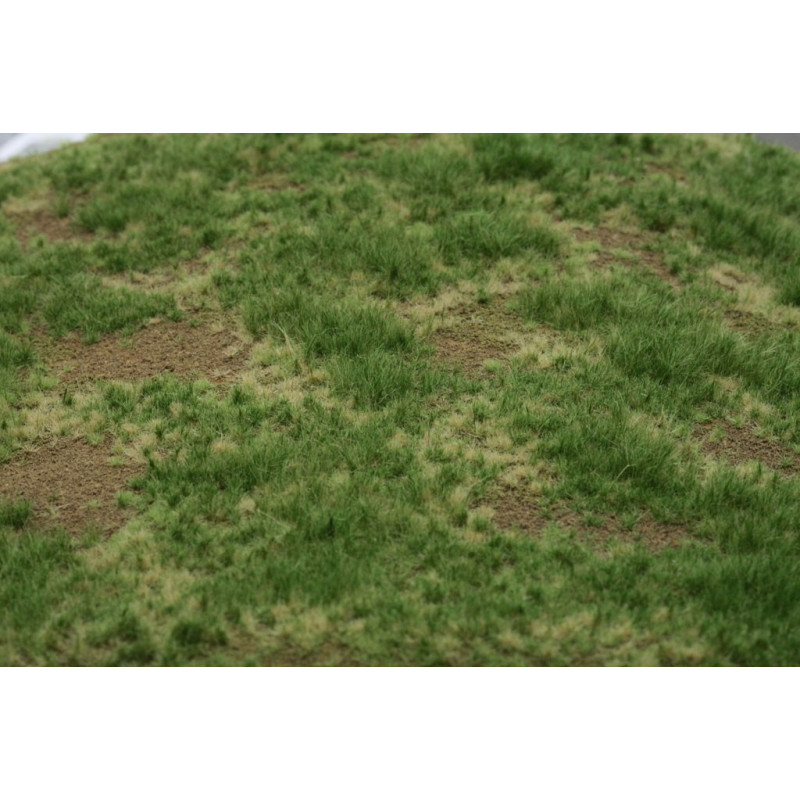 Welberg Scenary, Landskapsplatts [m003]