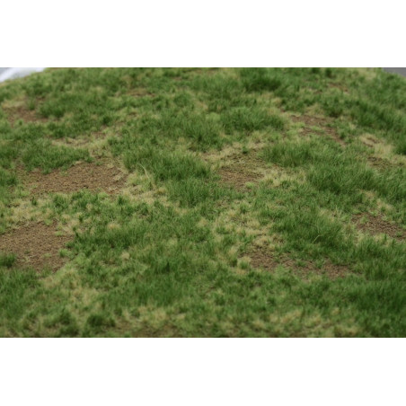 Welberg Scenary, Landskapsplatts [m003]