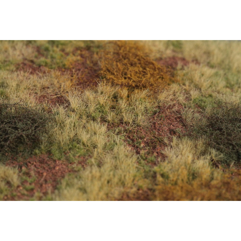 Welberg Scenary, Landskapsplatts [m017]