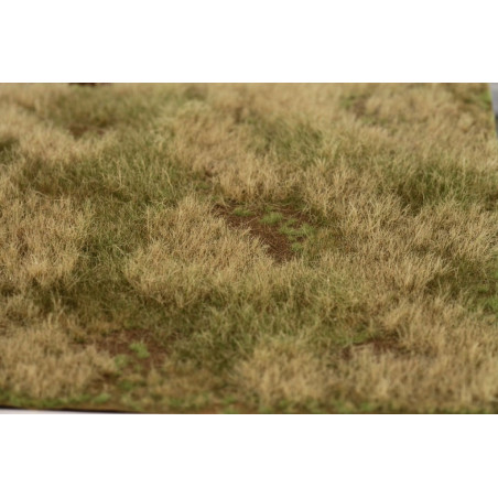 Welberg Scenary, Landskapsplatts [m028]